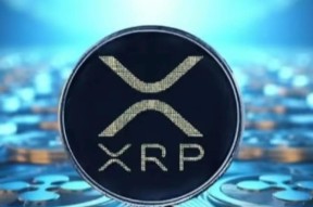 专家称XRP将在年底冲破ARB美元，引发引发关注-九游体育下载